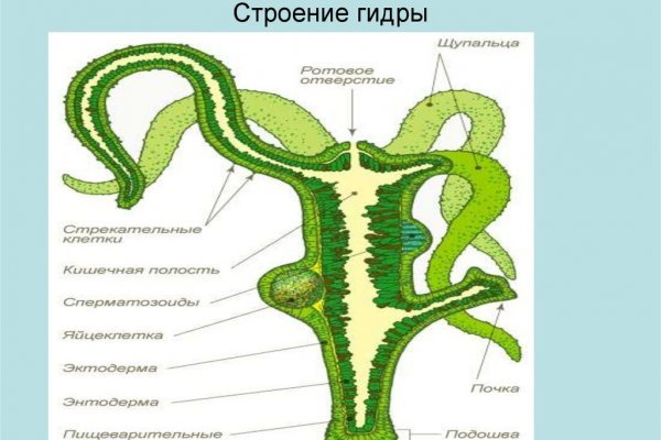 Кракен марихуана